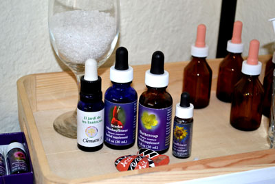 Terapias con flores de Bach en Viña del Mar